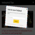 volleyball-tips.com volleyball-tips.com