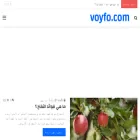 voyfo.com