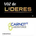 vozdelideres.com