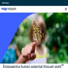 vspvision.com vspvision.com