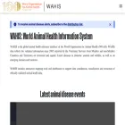 wahis.woah.org wahis.woah.org