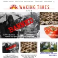 wakingtimes.com