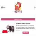 walkwithcat.com