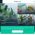 wayofleaf.co