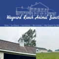 waywardranch.org waywardranch.org