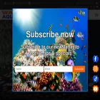 wazeersaquariums.co.za