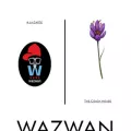 wazwanchicago.com