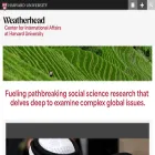 wcfia.harvard.edu