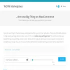 wcfmmp.wcfmdemos.com wcfmmp.wcfmdemos.com