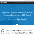 websynthesis.com