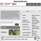 weedid.cals.vt.edu weedid.cals.vt.edu