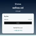 wefinex.net