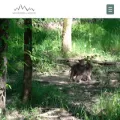 weilerwoodsforwildlife.com