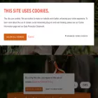 wellnesscore.eu