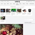 werd.com werd.com