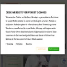 wernsing.de