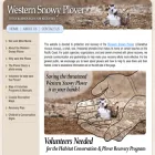 westernsnowyplover.org westernsnowyplover.org