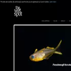 wetspotgallery.com wetspotgallery.com