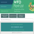 wfoplantlist.org