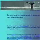whales.org.au whales.org.au