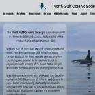 whalesalaska.org whalesalaska.org