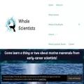 whalescientists.com