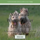 wheaten.org.uk