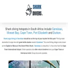 whitesharkdivers.co.za