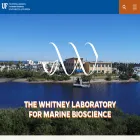 whitney.ufl.edu