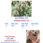 wholesalepinenuts.com wholesalepinenuts.com