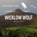 wicklowwolf.com