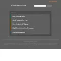 widedscreen.com widedscreen.com