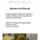 wienslab.com