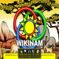 wikinam.org wikinam.org