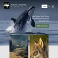wildfishconservancy.org wildfishconservancy.org