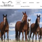 wildmustangs.com