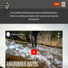 wildsteelheaders.org