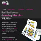 wildwins.com wildwins.com