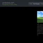 wineviews.com wineviews.com