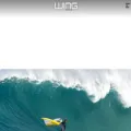 wingsurf.world