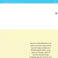 wisewalletwiz.com