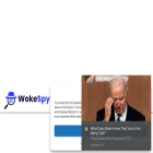 wokespy.com