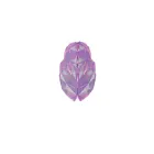 womensbrainproject.com womensbrainproject.com
