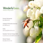 wonderfulbees.com wonderfulbees.com