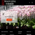 woonleng.com