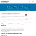 wordpressvn.net