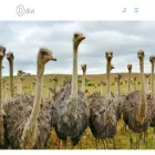 world-ostrich.org