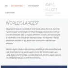 worldslargestdoc.com worldslargestdoc.com