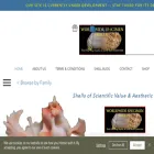 worldwideconchology.com