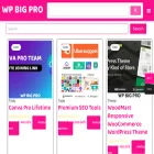 wpbigpro.com wpbigpro.com